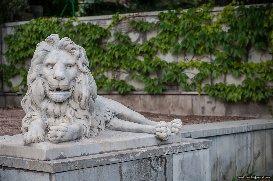 P2WlxyVijxKhhGts9MZQVUMdsf-ah7h0yFmVCaBSlcXe_A6al8i_R0wpFEg4E0x_uVAahSjNdhNKC0EHhFco8kcDhyOAIfyS-Epf