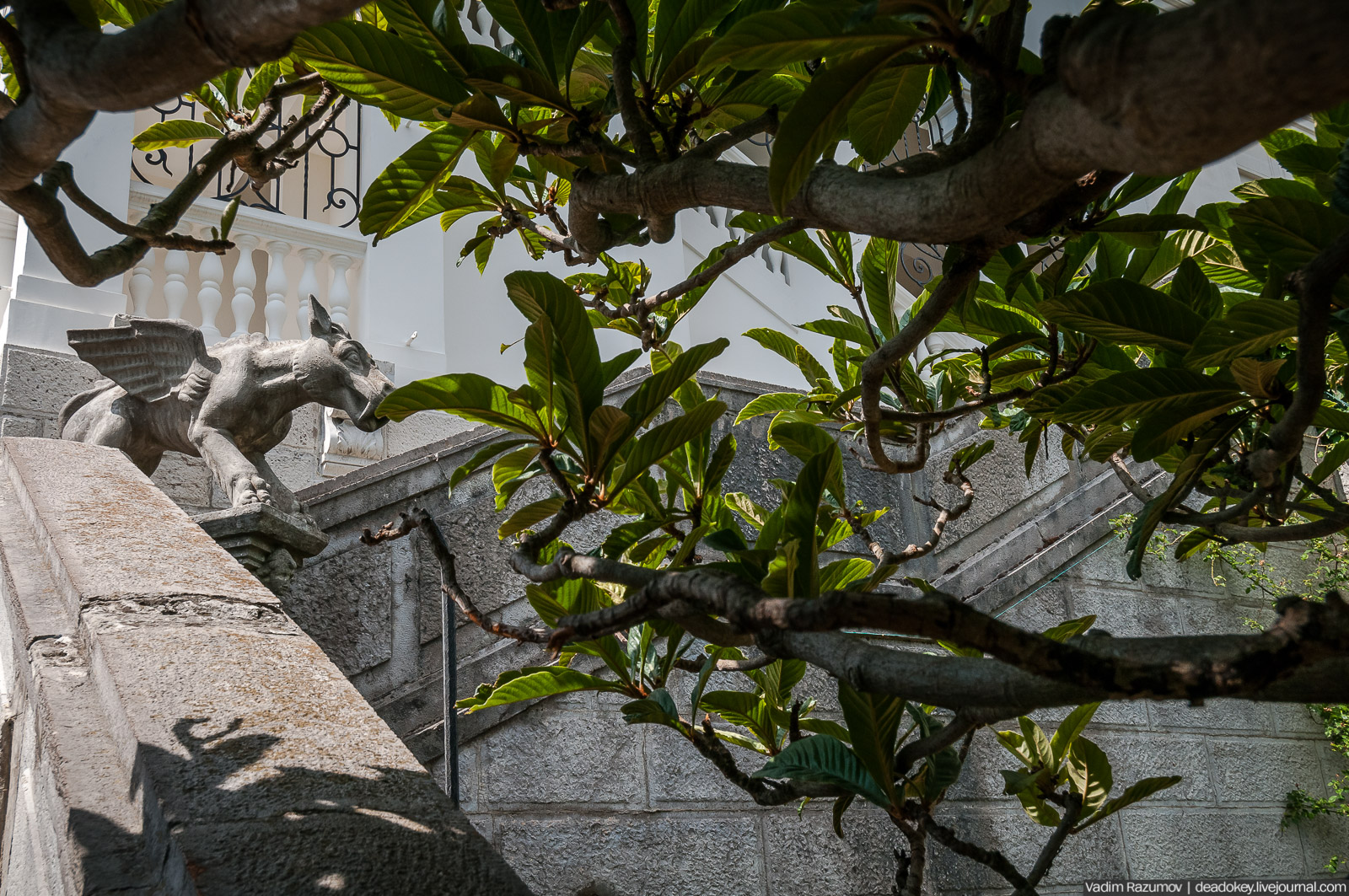 P2WlxyVijxKhhGts88tUUUMdsf-ah7h0yFmVCaBSlcXe_A6al8i_R0wpFEg4E0x_uVAakDTIYgdMBEEHlAF07EsOh3uANOCX7F5Z