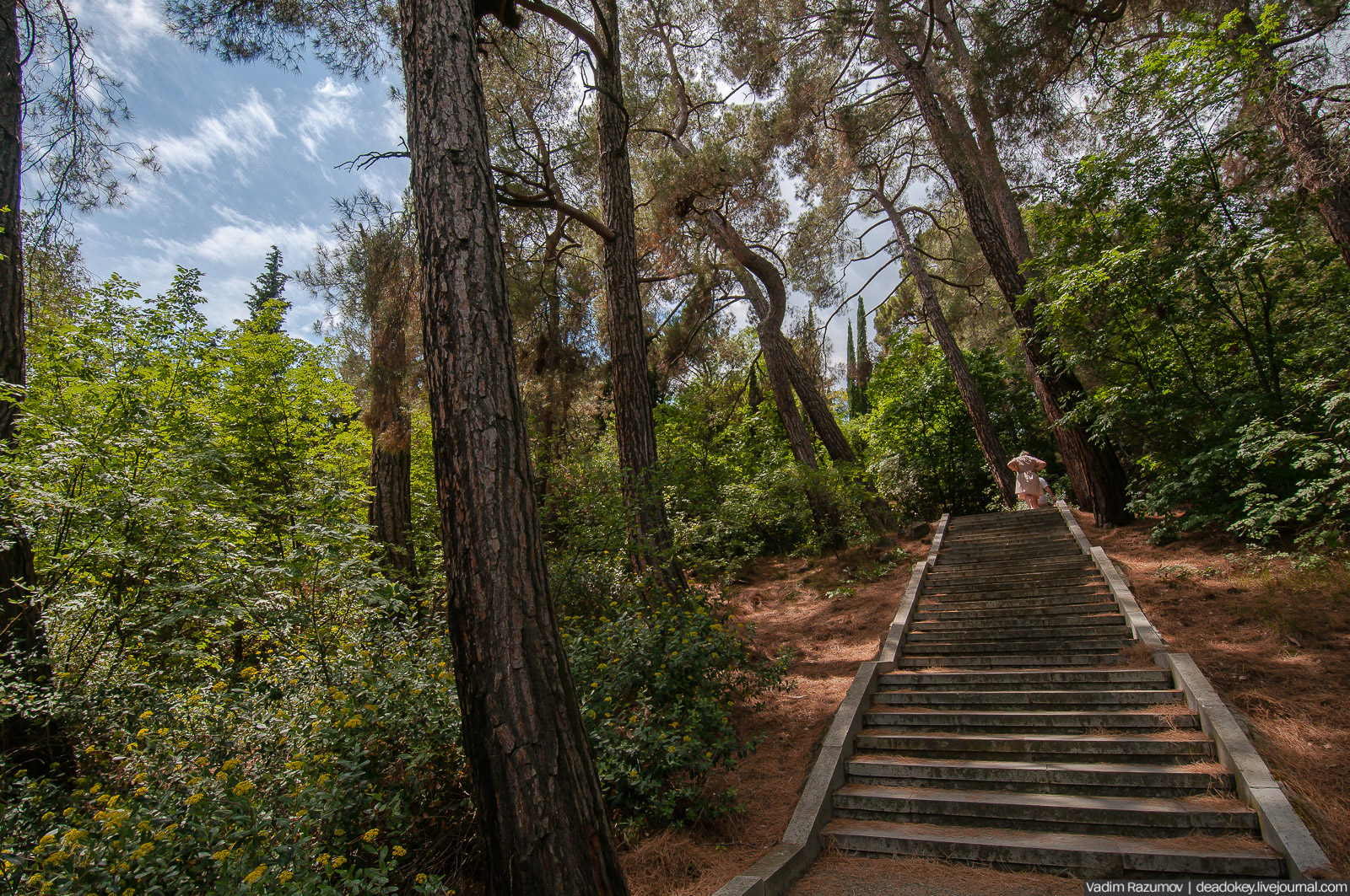 P2WlxyVijxKhhGts88tUUkMdsf-ah7h0yFmVCaBSlcXe_A6al8i_R0wpFEg4E0x_uVAakDTIYgdMBEEHlAF07EsOh3uANOCX7F5Z