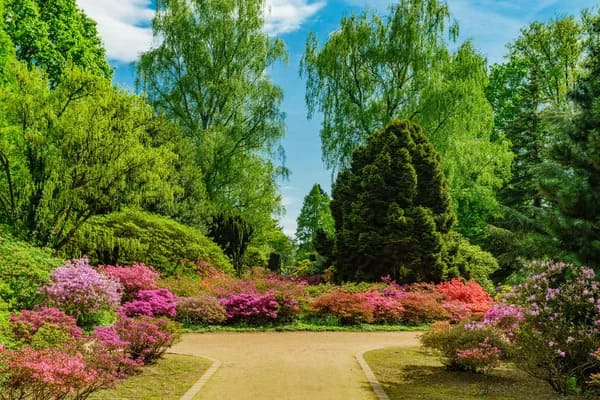 depositphotos_205344636-stock-photo-beautiful-garden-city-park