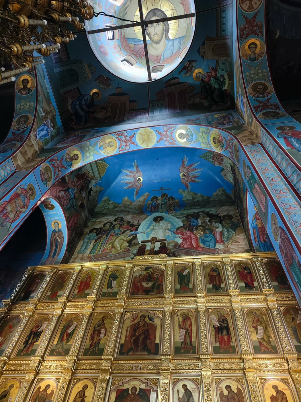 b9d5e16f-5f33-4438-ac9c-388c0841f49f