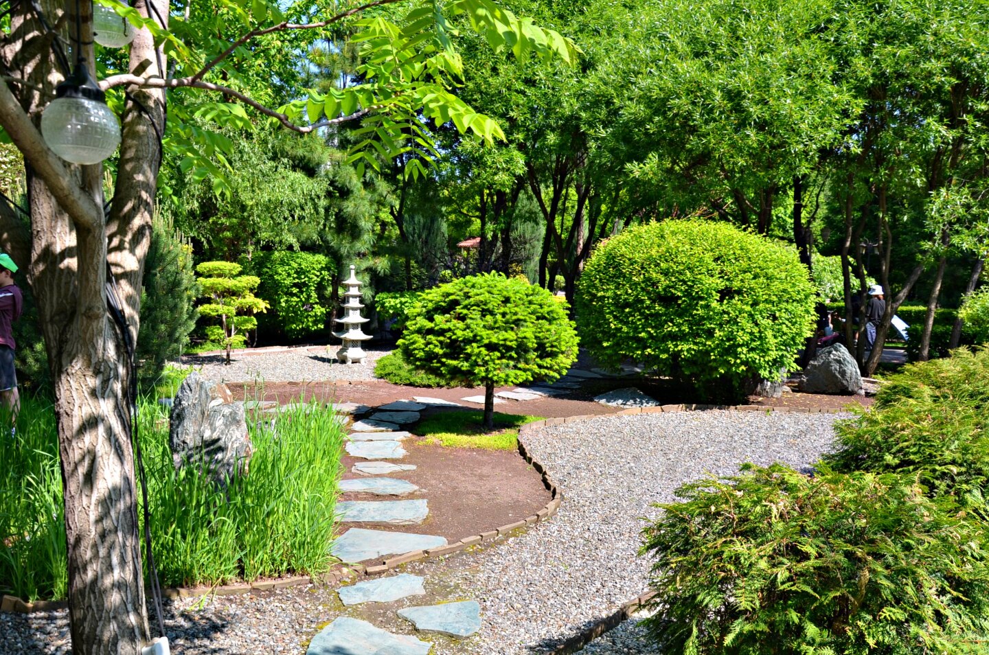 d5c20192e07b5eb5c37d0e478d27958ff9aebdd8