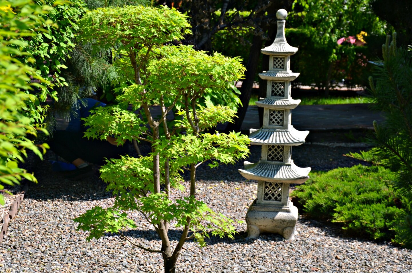 451bccf71d6771662fb70f0b62bf4ed11224abb2