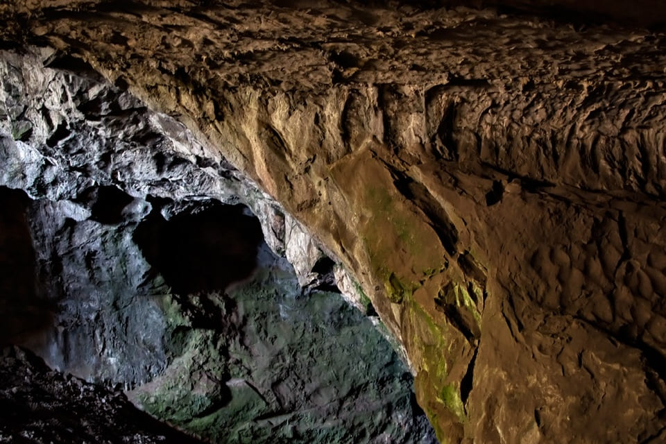06920896-2fd8-4782-b062-09449488b380