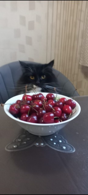 Screenshot_20251219_005251_WhatsApp