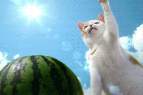 tumblr_lzz4w7V5vX1r2rfyso1_500