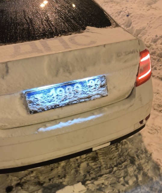 Инспектор гей