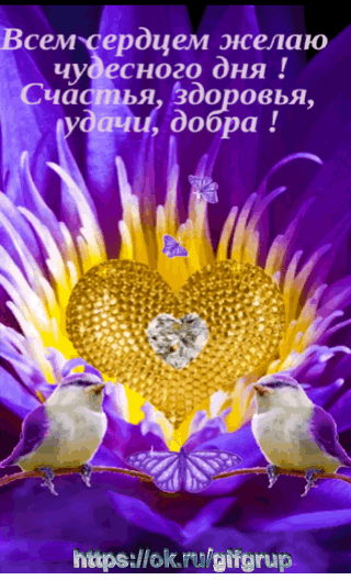 чудесного дня