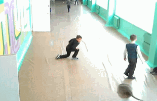 гифки-выборы-школота-песочница-112581