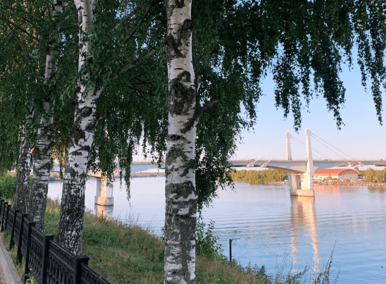 Snimok_ekrana_2024_08_27_v_17_52_53_8f0397c96a