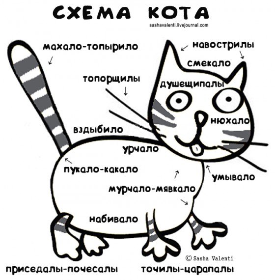 x_66285744