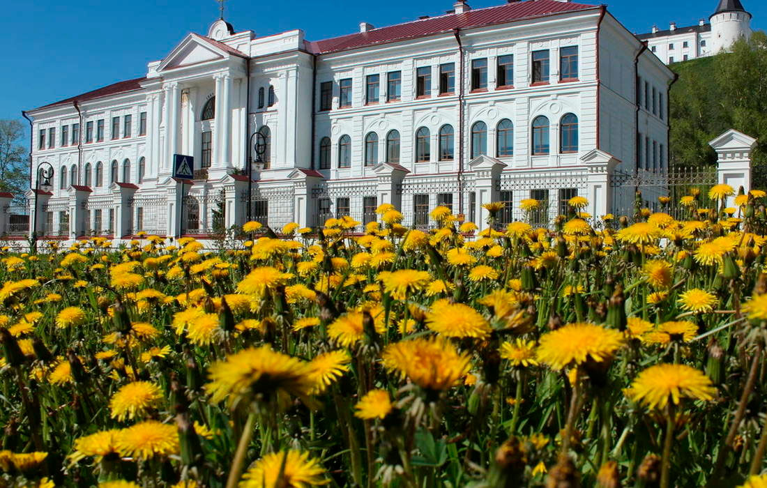 the-building-of-the-tobolsk-provincial-male-gymnasium
