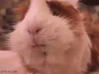 1122