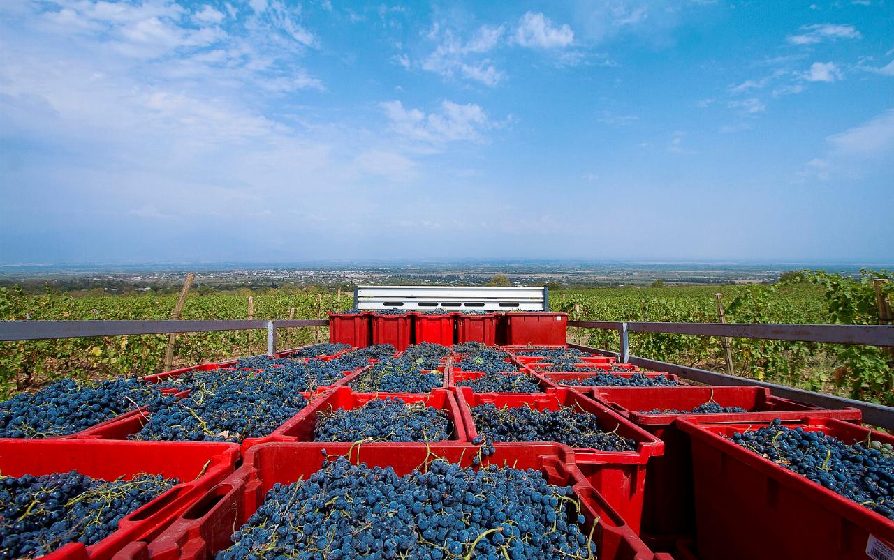 27797252740_7d0b477935_h