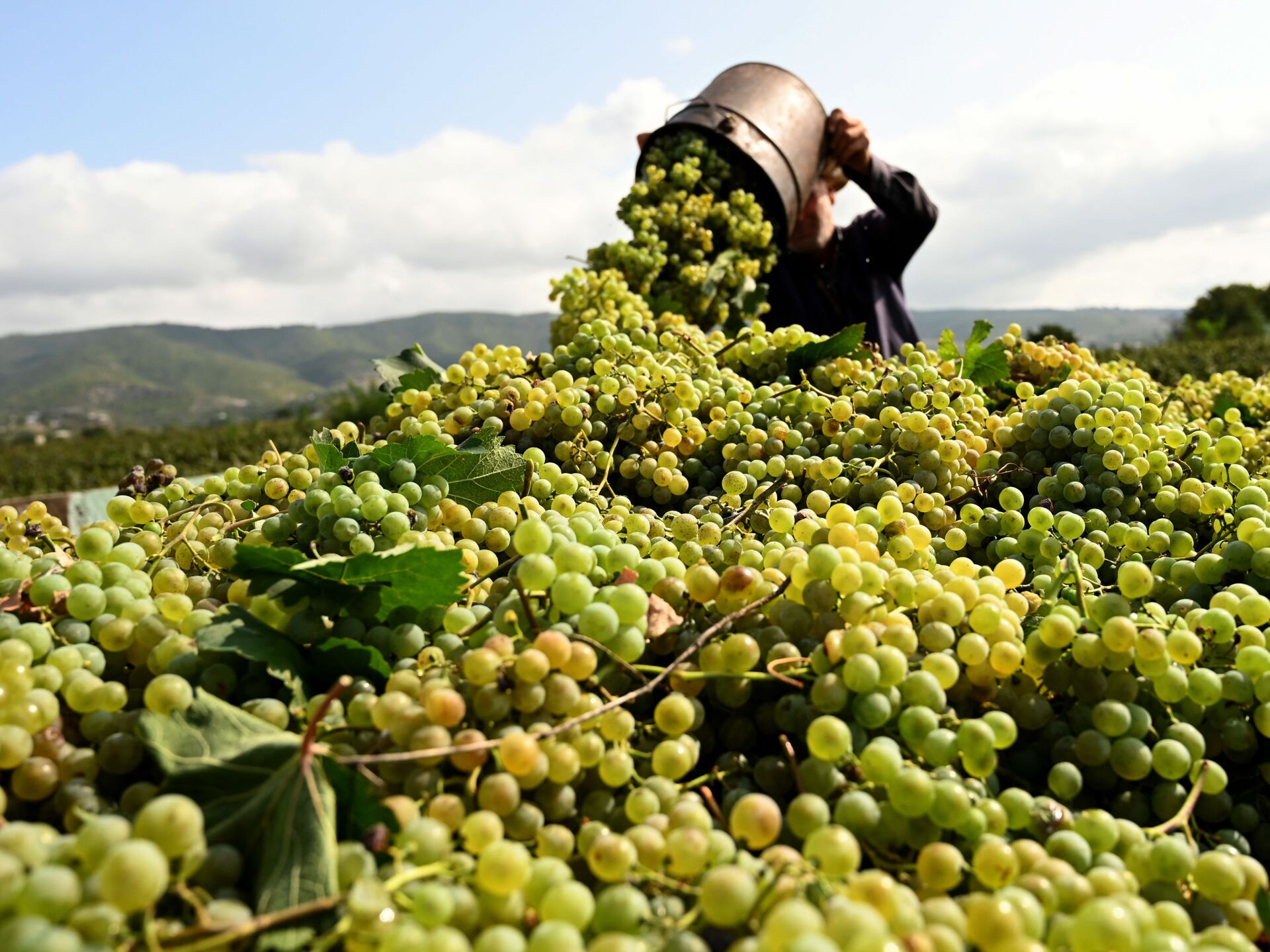 249576633_194_0_2925_2048_1920x0_80_0_0_b67ddcc040081c2e91c6524c10f745e9