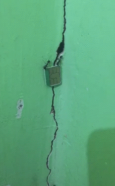 Муравьи тащат сим карту