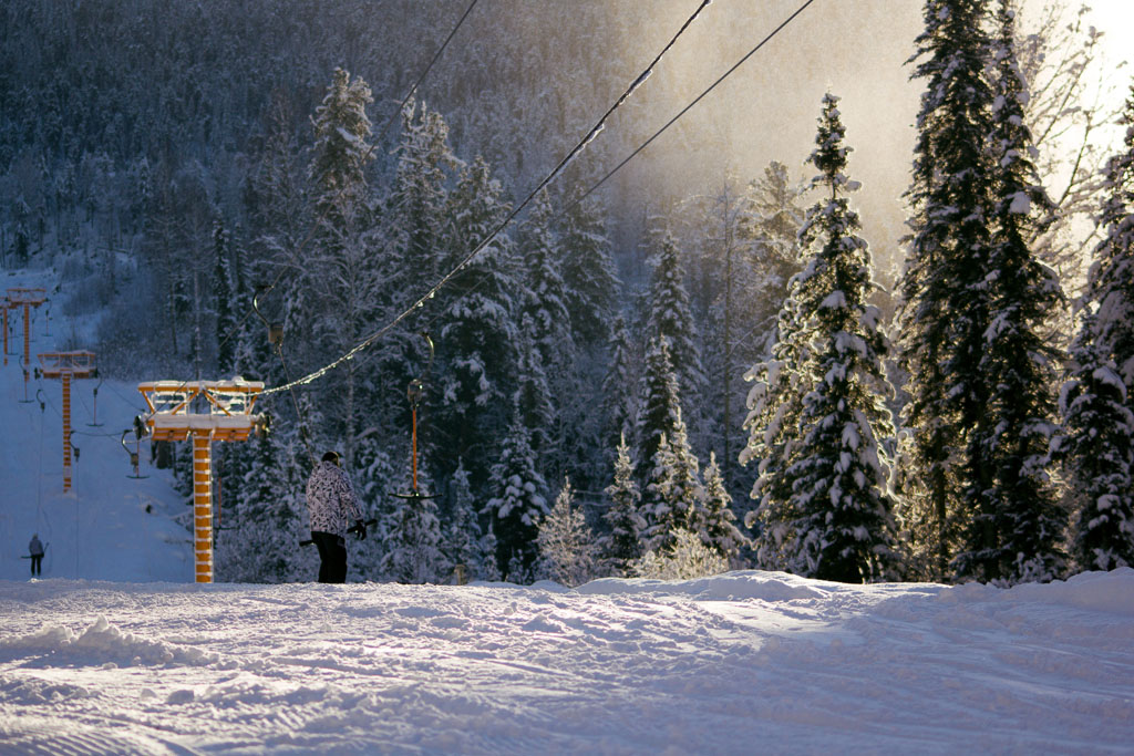 1feb6fc683d82612d9e59f0e9a6d230a