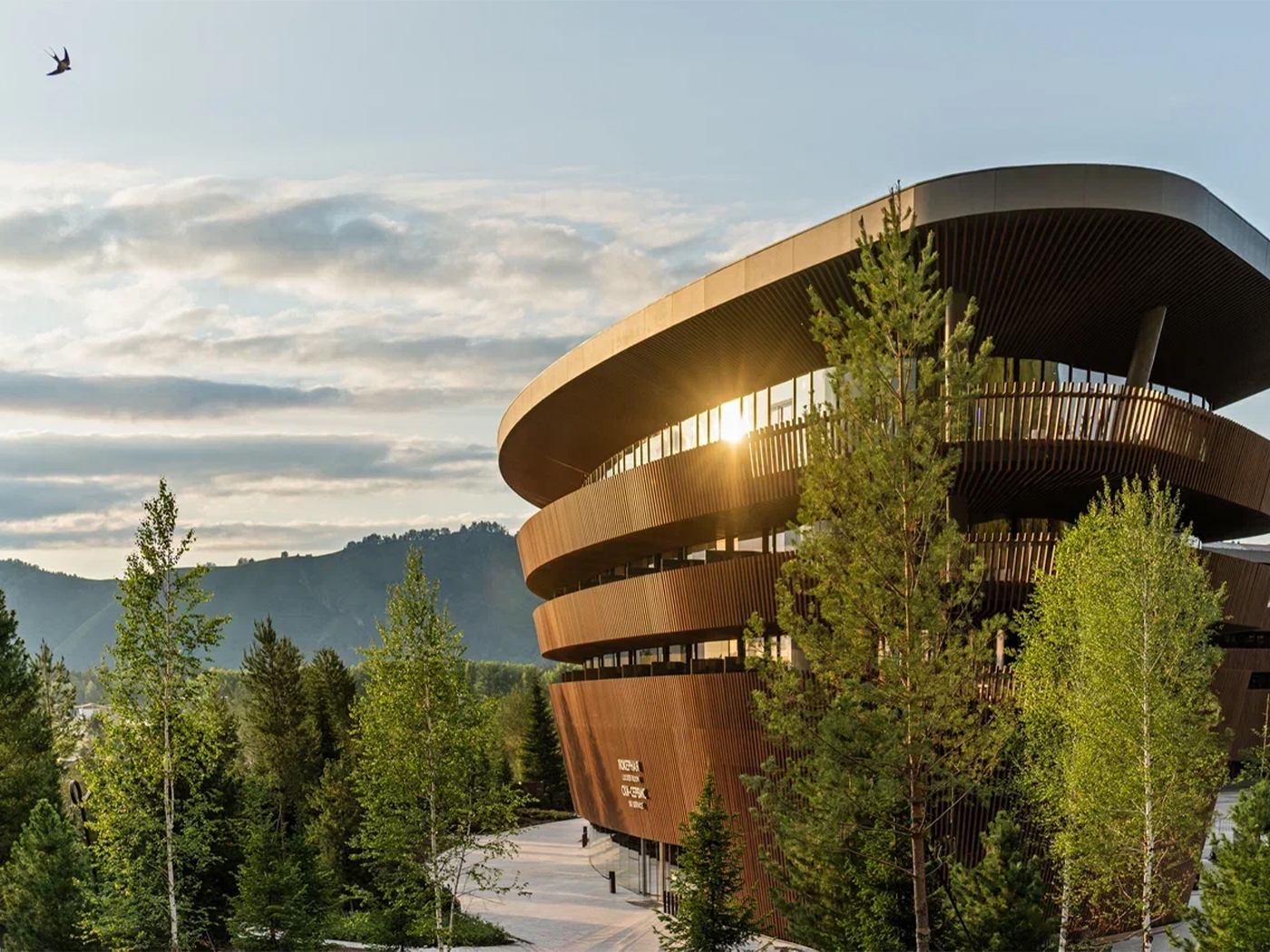 185ab03e-263d-4c55-855b-09041f12b1f8