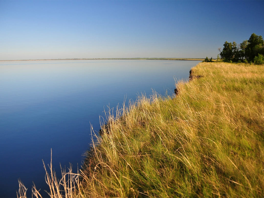 6a611f1d-8f79-466b-ba28-18aaef72ea34