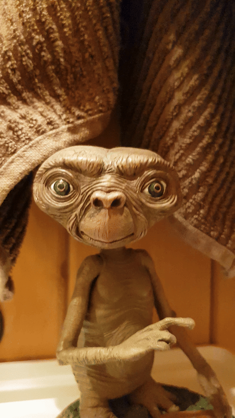 Планетяндра