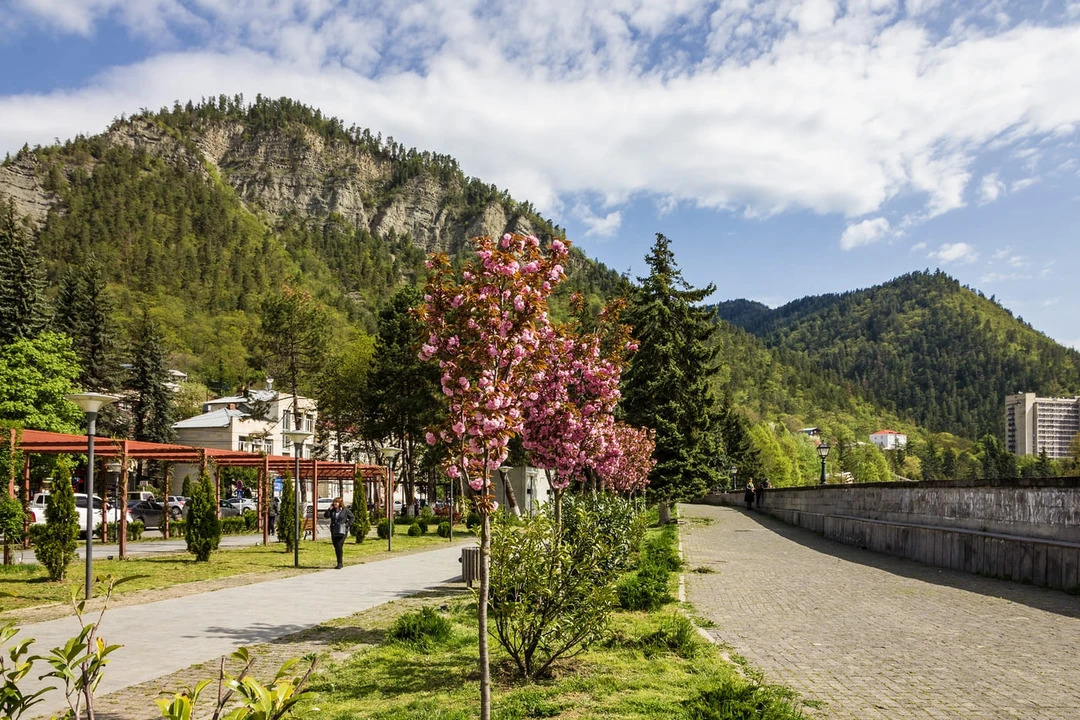 3e23b743-4a60-4797-89fc-6484c77628ce