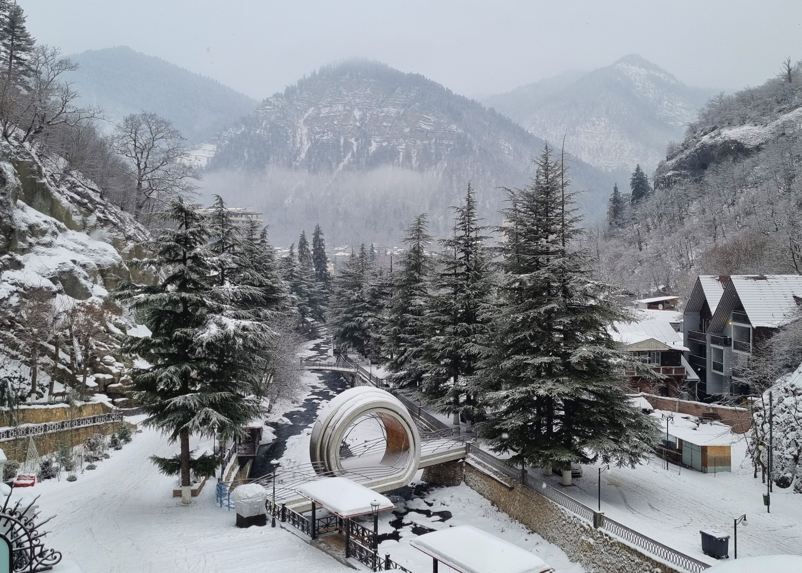 20220127_085045-scaled