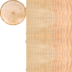 -бревно-голое