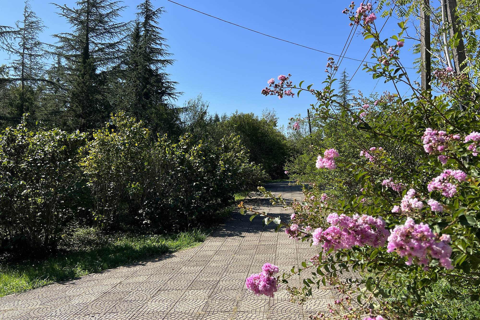 kutaisi-one-day-3.br0dtw.