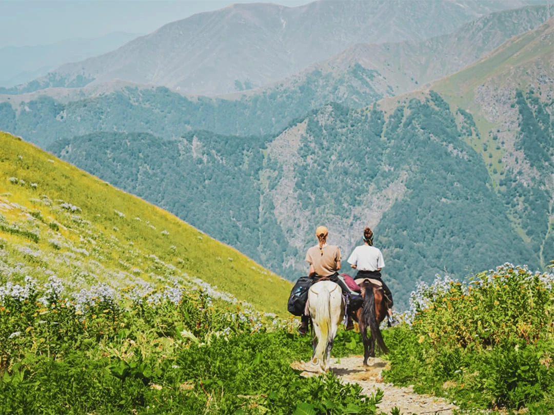 f2ca1dd8-9cce-4d76-9758-459825e7a18a