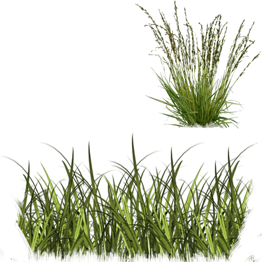 grass_01_M-Желтоватая