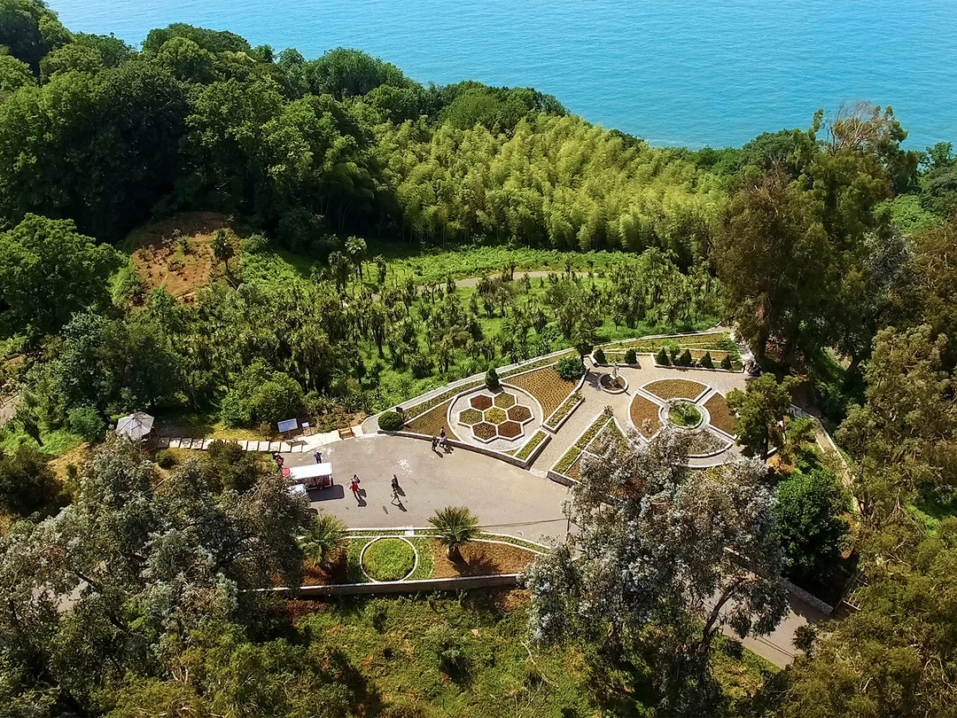 b92f94bb-c15d-4423-ad9e-a5e10c91fded