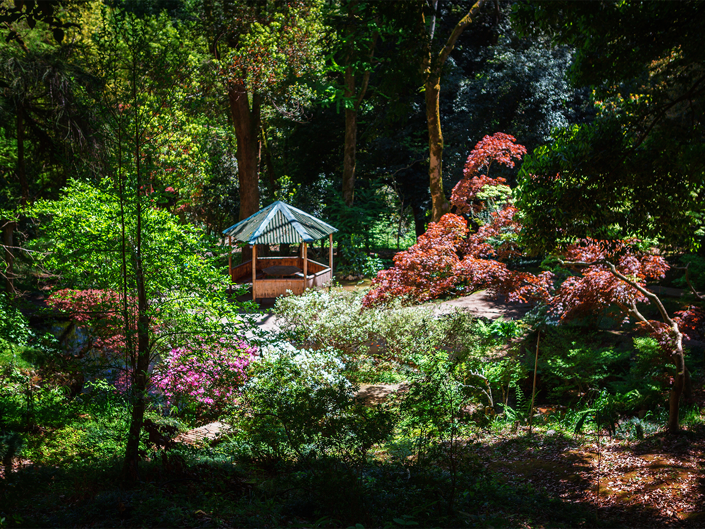 9d0f6b4b-ef66-486f-842b-d1dcdd62fb5b