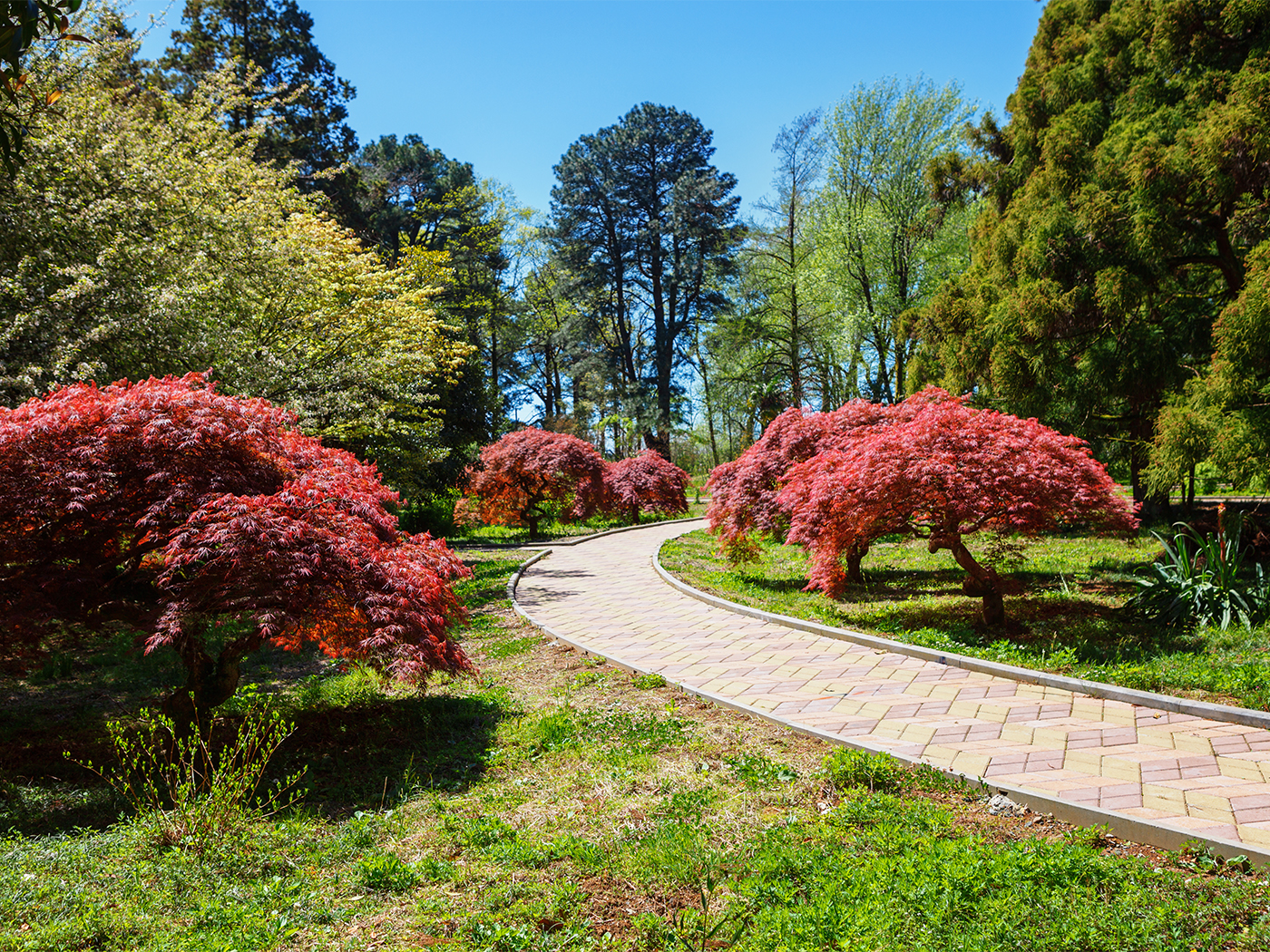 35c2b433-51b6-420c-971c-17b93ca45ae2