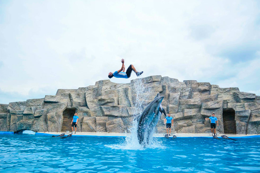 batumi-dolphinarium