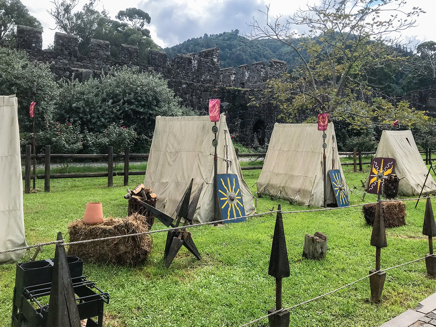 b0c6934c-8f6c-4ac7-bc80-194e702bab80