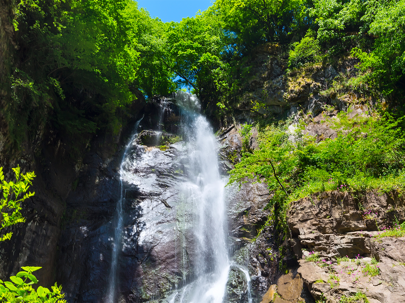 5a943f43-4313-4c53-b288-d667bf78a7b8