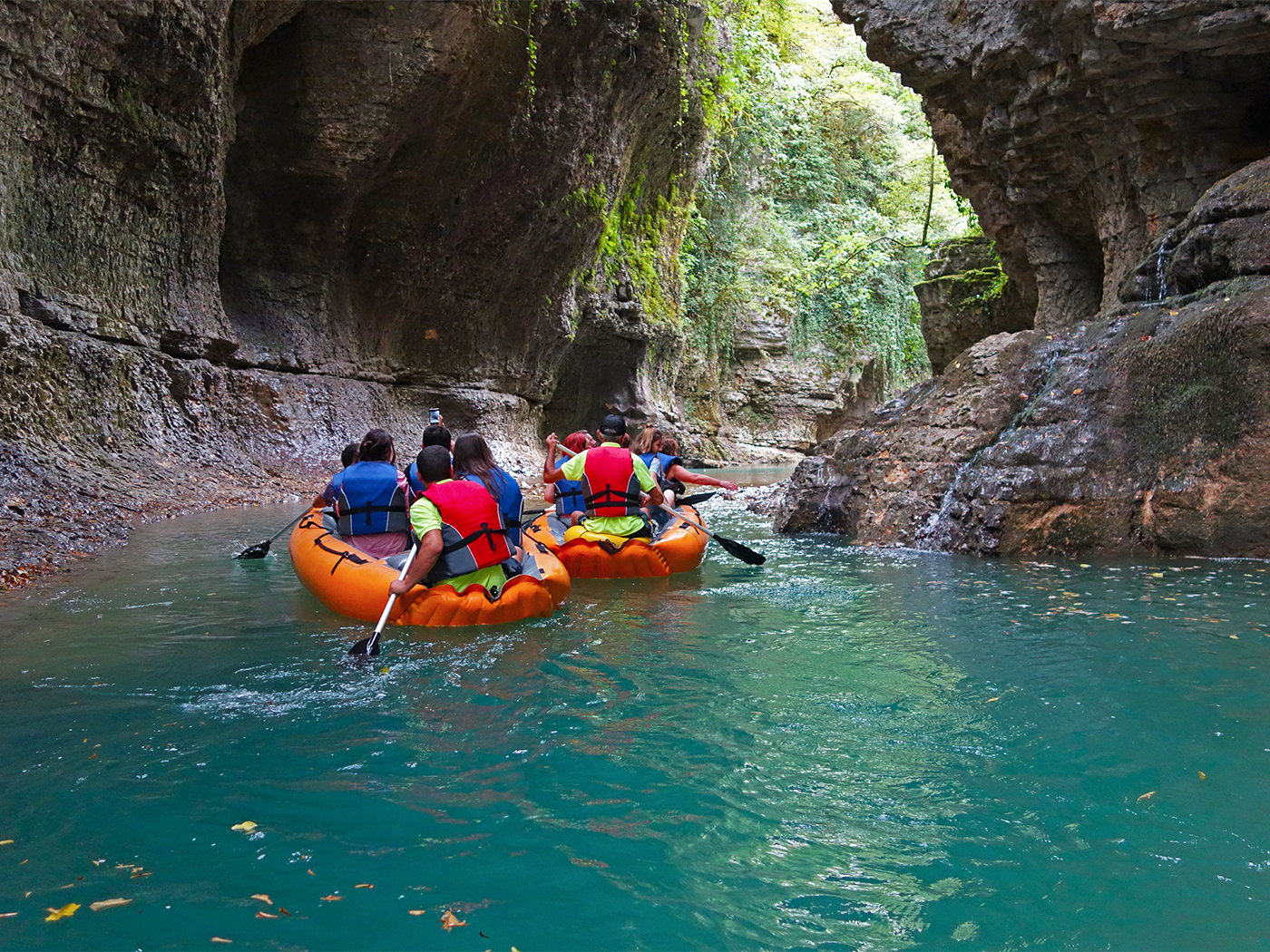 ce6444c5-9976-49fb-b8db-942629d8c47b