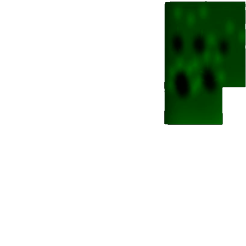 flower_03_b---СТЕБЛИ