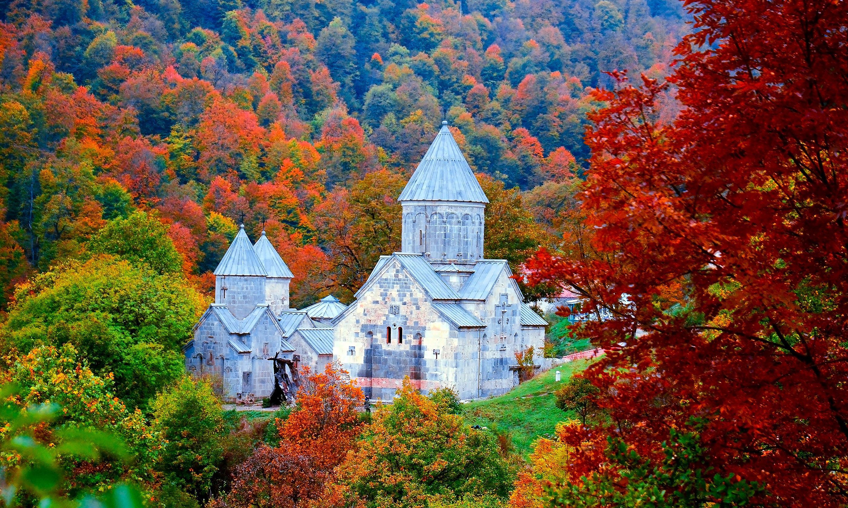 cropped-shutterstock_520595992