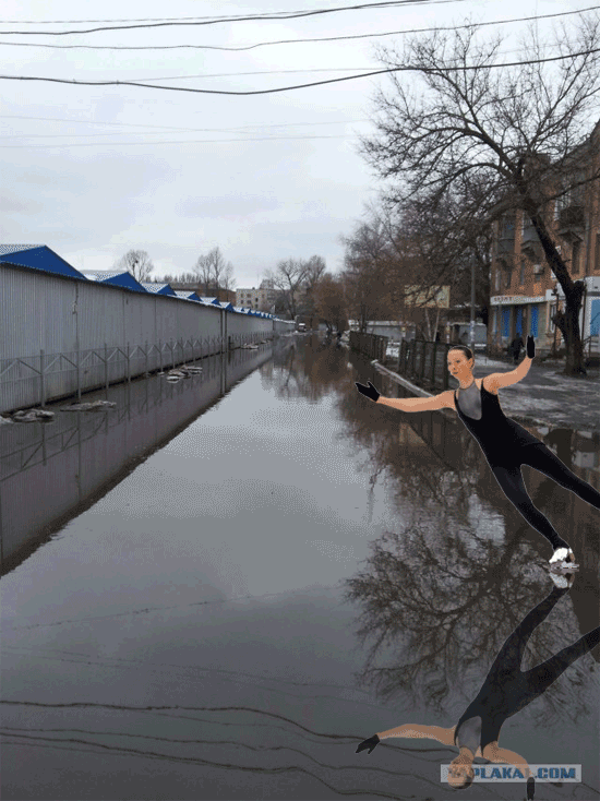 post-3-13308116644652