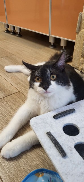 IMG_20260110_113544_593 (1)