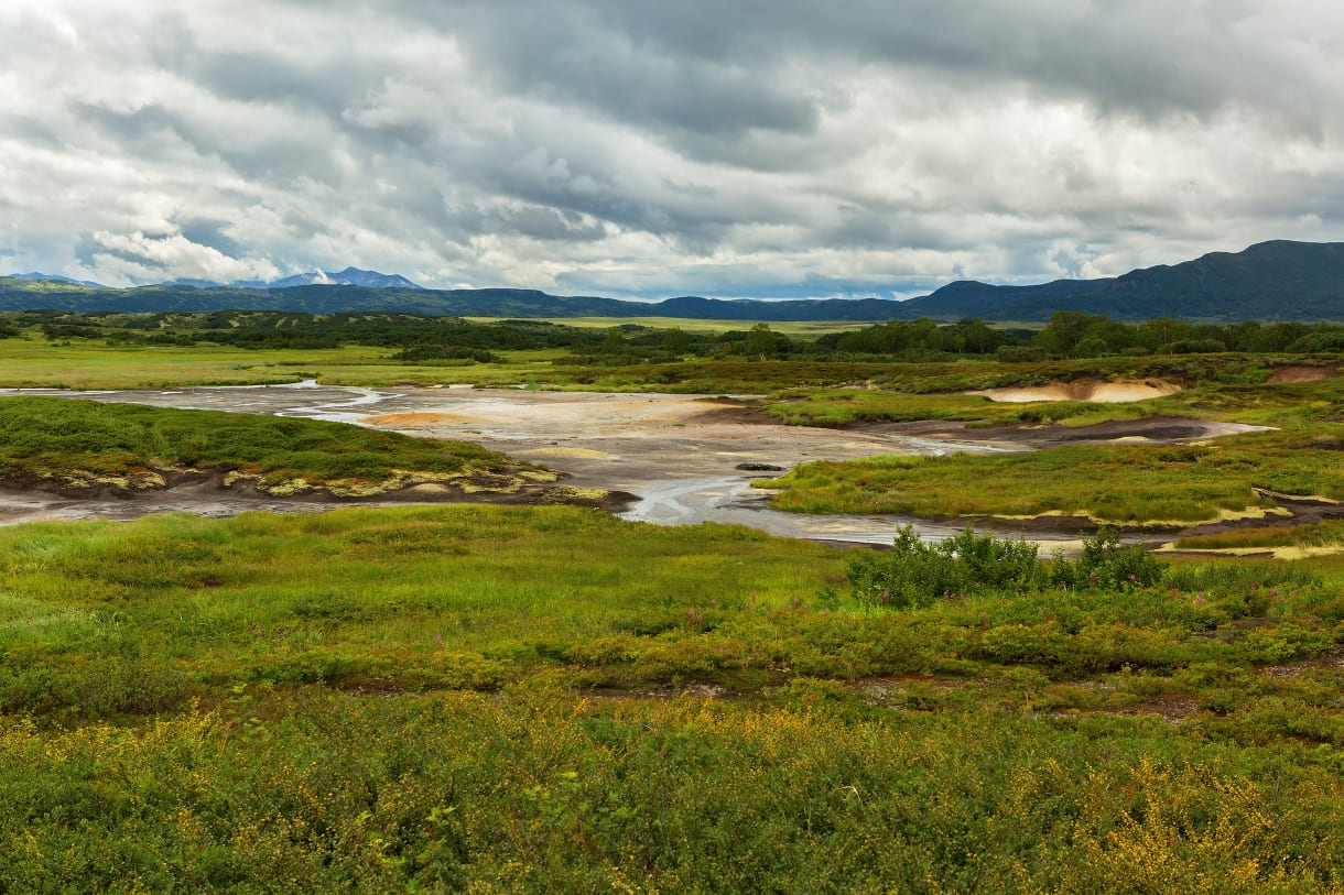 eaa377d6-0397-4f4a-ac55-56a9577de723