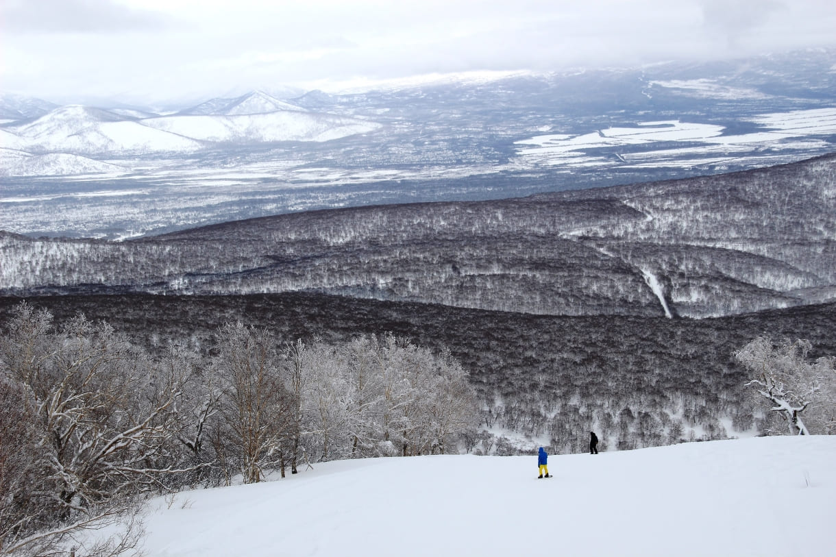 810ccdab-2470-4e3e-aaa8-e8e3d8a0be1c