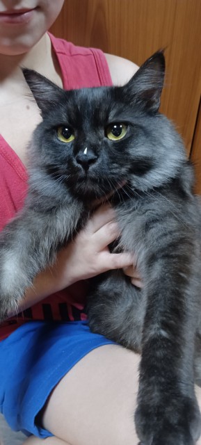 IMG-07062816d5d317fe47eb7e1d71c1b29b-V