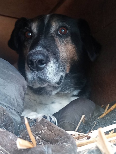 IMG-4a2194fe9a51149b8a7bf605e2755a94-V