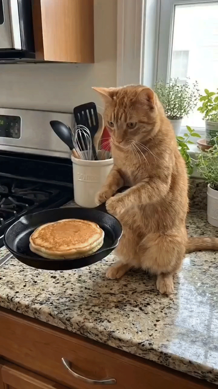 ��� � �������