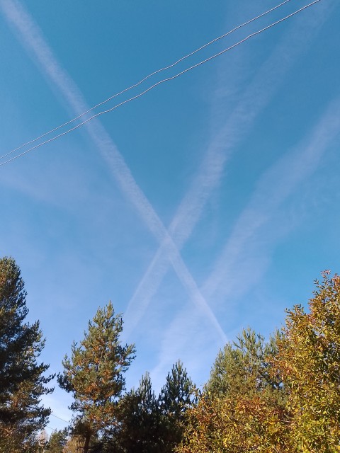 IMG_20251001_111044_663 (1)