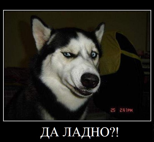 post-3-12501079457181