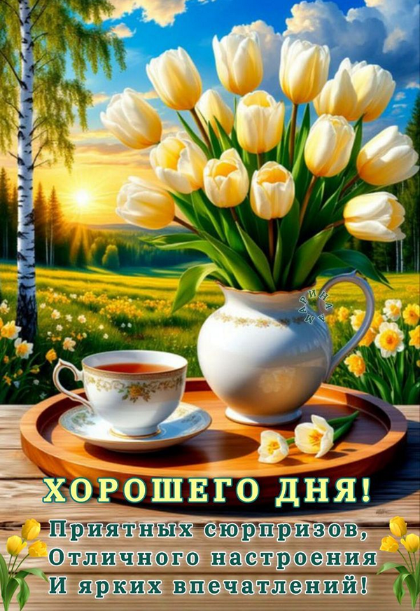 799396116da017dfc81eb66b3f33d78c_cr