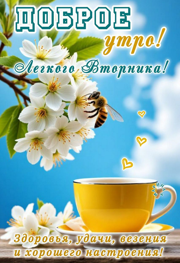 19294c18939d29e46443b174e17378fe_cr